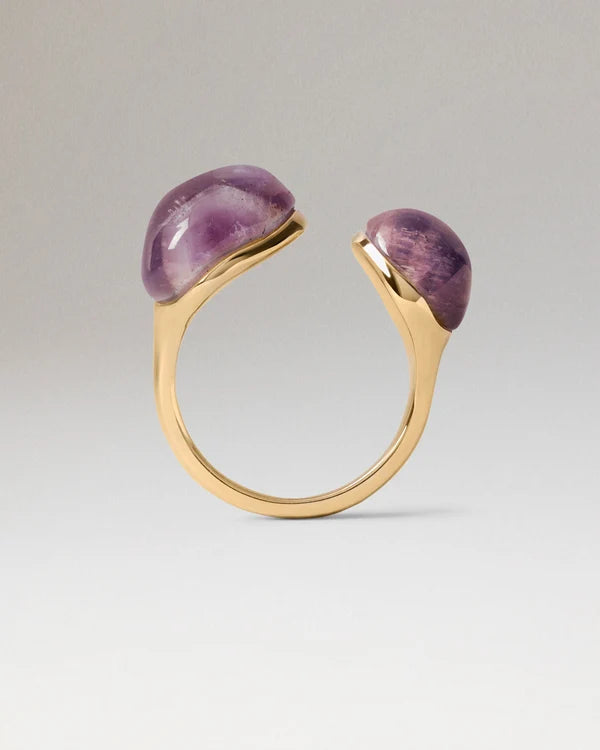 Anello PDPAOLA Amethyst Gravity AN01-D41-16 con due ametiste viola e montatura color oro su sfondo neutro, CICCO Gioielleria.