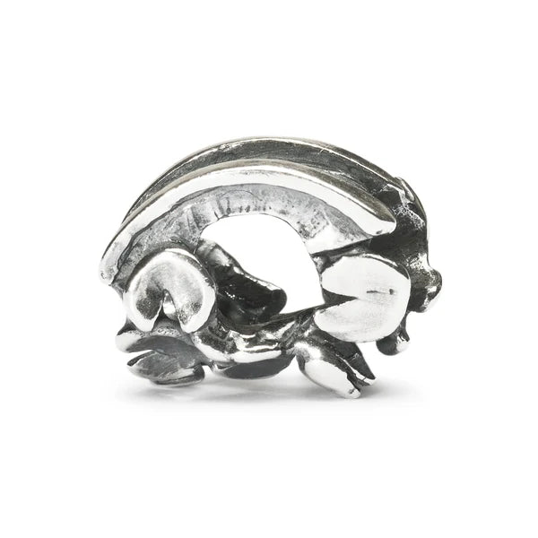 Trollbeads Giardino dell'Eden TAGBE-10018 – Bead in argento 925 su sfondo neutro – CICCO Gioielleria