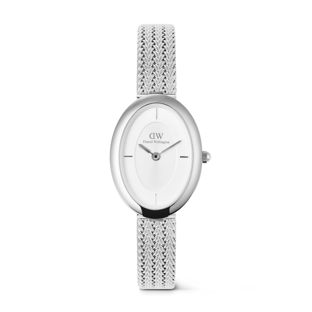 DW00100884 - Juliette Braided Mesh White Sunray Silver