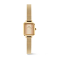 Daniel Wellington Quadro Mini DW00100961 – Orologio donna bracciale mesh oro su sfondo neutro