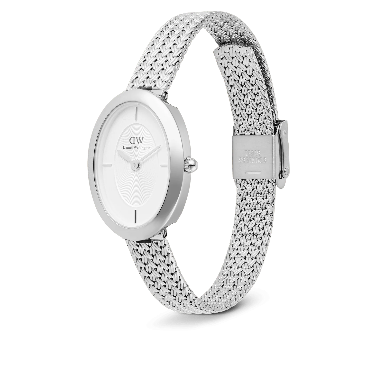 DW00100884 - Juliette Braided Mesh White Sunray Silver